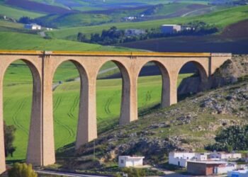 L’huile d’olive biologique de Toukaber remporte la médaille d’or du concours international “Biol Novello”