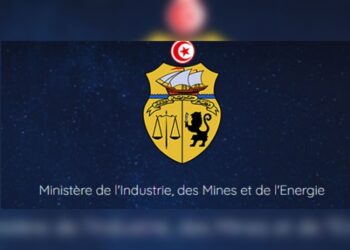 Faiza Djebloun nommée directrice générale de la Cellule centrale de gouvernance