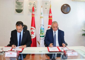 20 millions de dinars pour soutenir les petits agriculteurs dans la récolte des olives 2024-2025