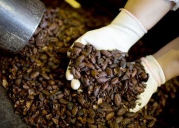 Les prix du café atteignent leur pic en 50 ans