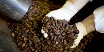 Les prix du café atteignent leur pic en 50 ans