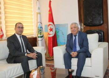 Simplification des procédures pour les projets d’énergie solaire en Tunisie