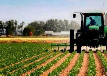 Les agriculteurs tunisiens peuvent désormais bénéficier de ces 11 mesures dès 2025