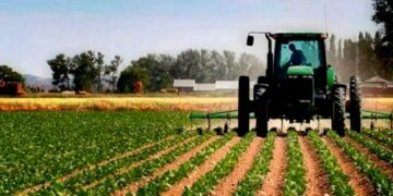 Les agriculteurs tunisiens peuvent désormais bénéficier de ces 11 mesures dès 2025