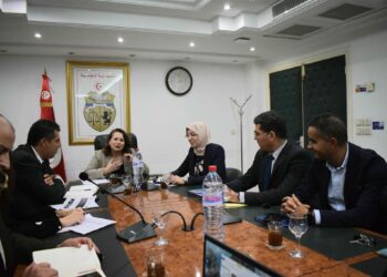 La Tunisie lance le projet d’une ville intelligente dédiée à l’automobile