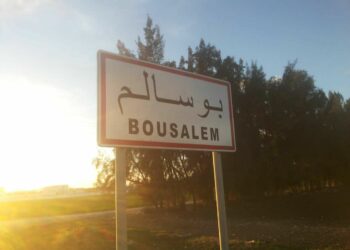 La SMADEA réalise un bénéfice 2024 de 5,975 Mtnd