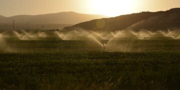 Mahdia: 700 hectares bénéficient des eaux traitées
