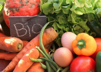 Tunisie : hausse de 7% de la valeur des exportations des produits agricoles bio