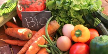 Tunisie : hausse de 7% de la valeur des exportations des produits agricoles bio
