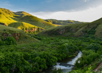 Lancement du programme Climate Action Accelerator en Afrique