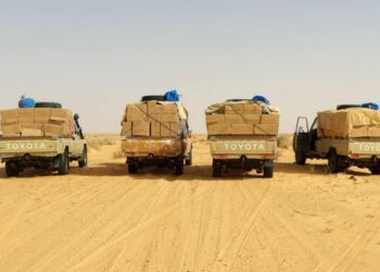 Douane tunisienne: 547 Mtnd, la valeur des marchandises de contrebande saisies en 2024