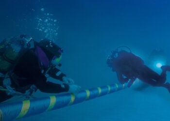 Tunis: inauguration de la plateforme Terna Innovation Zone