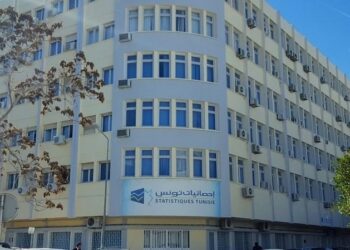 INS: la Tunisie en 5 chiffres!