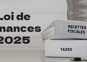 Deux secteurs bénéficient d’avantages douaniers selon la Loi de Finances 2025