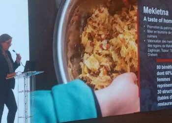 Promotion du Tourisme durable en Tunisie, les activités phares du projet