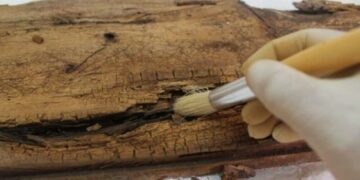 La société civile de Monastir exige la réouverture rapide du Musée archéologique de Lamta