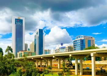 Purple Elephant Ventures lève 4,5 millions de dollars pour révolutionner le tourisme en Afrique