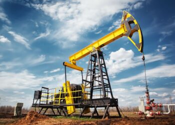 Top 5 des produits les plus déficitaires en 2024!