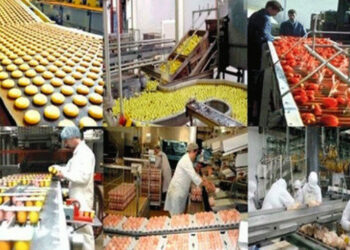 FAO: l’agroalimentaire mis en avant pour la sécurité alimentaire en Tunisie