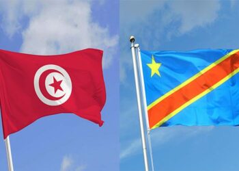 Rencontres B2B Tuniso-Congolaises: voici les secteurs concernés