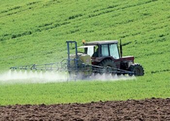 Projet Tanit: pas de croissance durable sans valorisation de l’eau