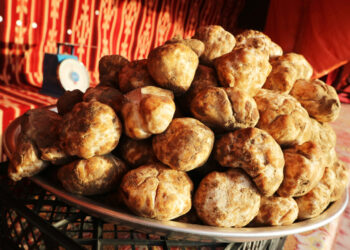 C’est la saison des truffes… Découvrez les secrets du “diamant noir” tunisien