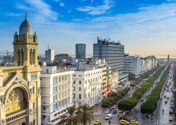 La Tunisie est la cinquième en Afrique en matière de qualité de vie numérique