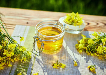 Tunisie-France: convention de partenariat pour développer la filière colza