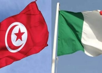 Tunisie-Italie: une opportunité pour les startups tunisiennes