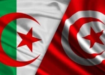 Rencontres professionnelles et de partenariat à Alger: voici les secteurs concernés