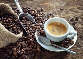 Comment renforcer la neutralité carbone et la durabilité du café en Afrique?