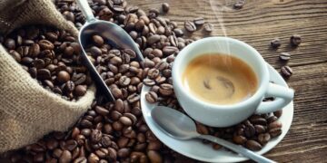 Comment renforcer la neutralité carbone et la durabilité du café en Afrique?