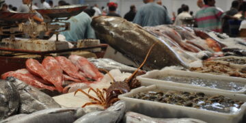 ONAGRI: Balance commerciale excédentaire pour les produits de la pêche