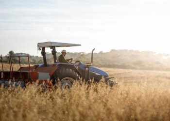 Une moyenne d’un seul emploi créé par projet agricole approuvé!
