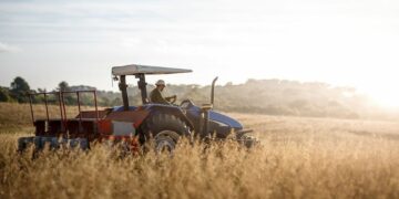 Une moyenne d’un seul emploi créé par projet agricole approuvé!