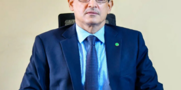 «Les innovations frugales dominent en Afrique»