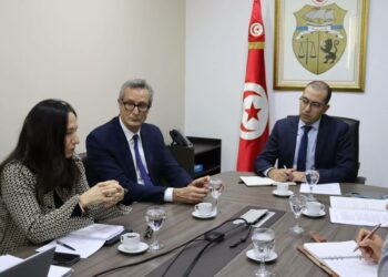 Un câble sous-marin de connexion électrique entre la Tunisie et l’Italie?