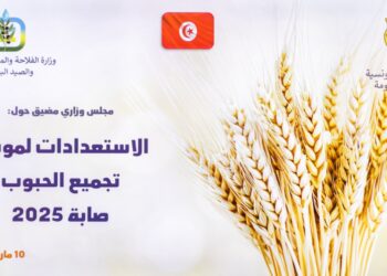 Récolte des céréales 2025: intégration de nouvelles capacités de stockage dans 6 gouvernorats