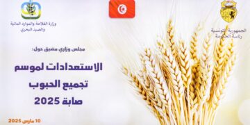 Récolte des céréales 2025: intégration de nouvelles capacités de stockage dans 6 gouvernorats