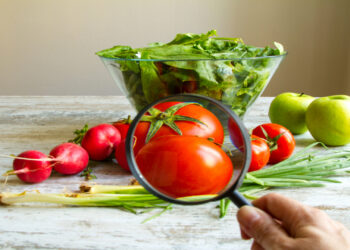 Sécurité alimentaire en Tunisie : défis et perspectives à l’horizon 2035