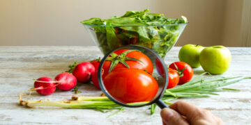 Sécurité alimentaire en Tunisie : défis et perspectives à l’horizon 2035