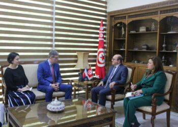 Une ligne aérienne directe Tunisie-République tchèque: bientôt une réalité?