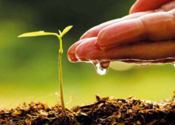 Agriculture durable: 12 000 hectares de terres restaurés grâce au projet ProSol