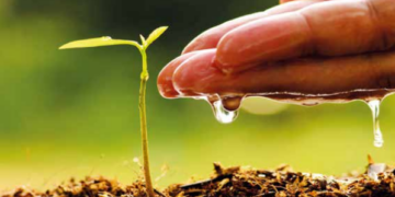 Agriculture durable: 12 000 hectares de terres restaurés grâce au projet ProSol
