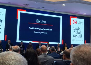 BH Bank : des revenus en hausse en 2024 malgré une baisse du résultat net