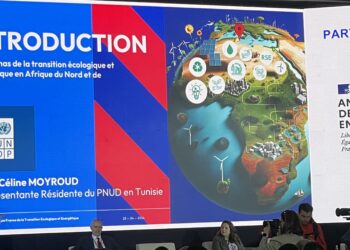 Afrique du Nord: le PNUD lance un cri d’alarme face à la triple crise environnementale et appelle à une action urgente