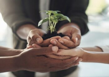 Tunisie: lancement du projet “Soil Matters”