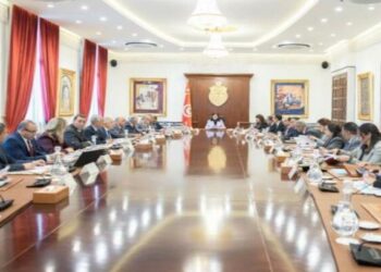 Agriculture en Tunisie: lancement officiel des préparatifs du premier recensement national