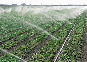 Irrigation durable : 11 500 hectares concernés d’ici fin 2025