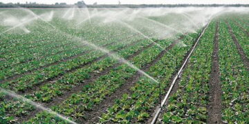 Irrigation durable : 11 500 hectares concernés d’ici fin 2025